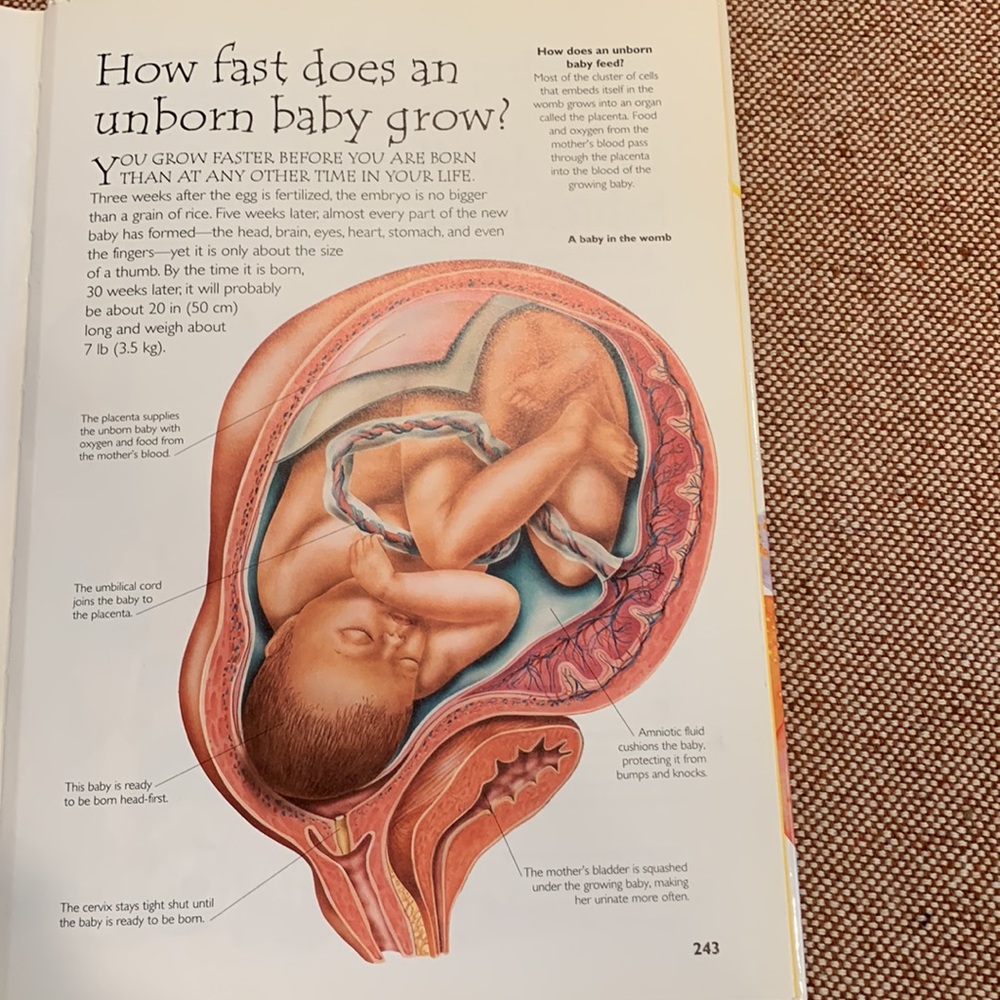 Hard Cover Book - Picture 12 of 14